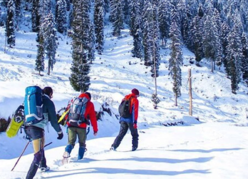 Kashmir 4 Nights 5 days Tour Package